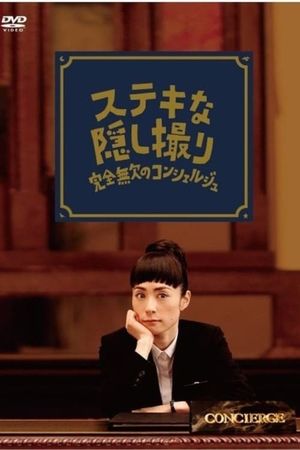 A Flawless Concierge's poster