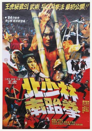 South Shaolin vs. North Shaolin's poster