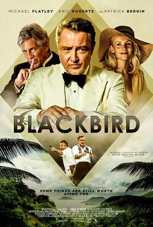 Blackbird's poster