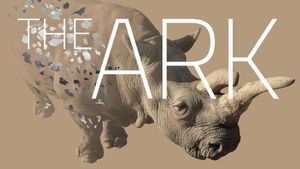 The Ark's poster
