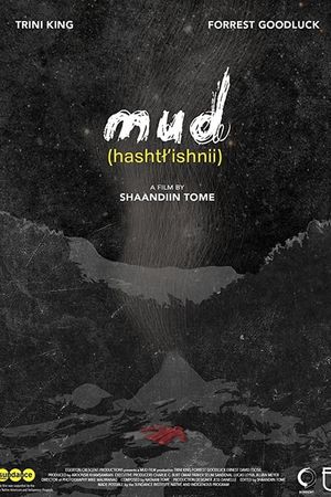 Mud's poster