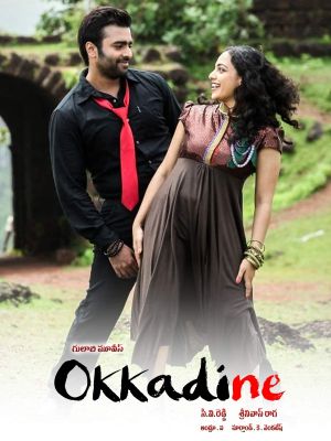 Okkadine's poster image