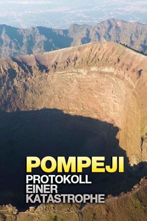 Le récit d’une catastrophe : Pompéi's poster