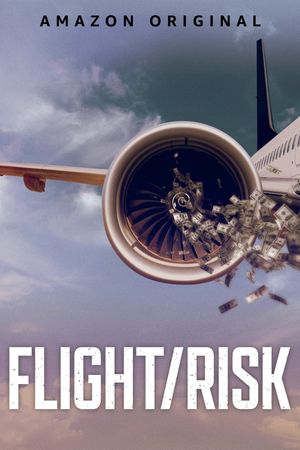 Flight/Risk's poster