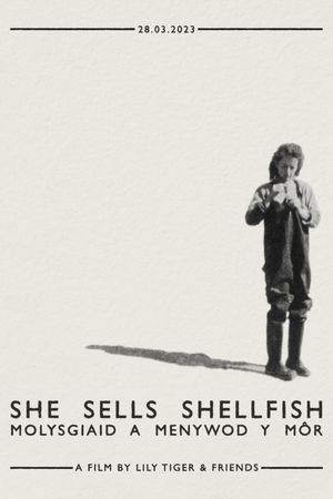 She Sells Seashells's poster