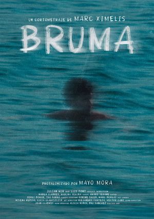 Bruma's poster