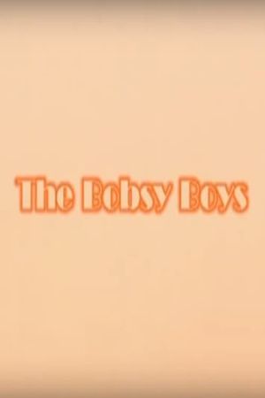 The Bobsy Boys's poster