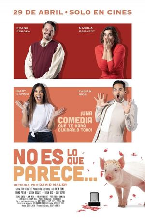 No es lo que parece's poster
