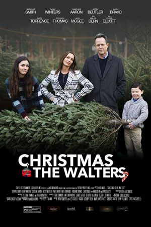 Christmas vs. The Walters's poster