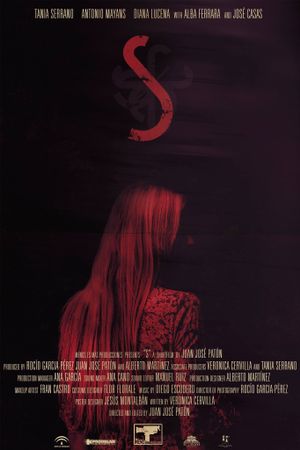 S's poster image