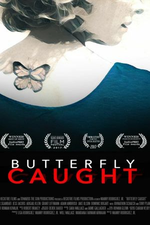 Butterfly Caught's poster