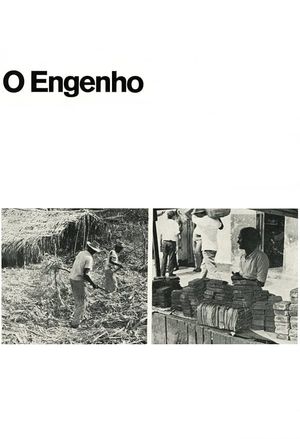 O Engenho's poster