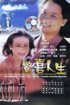 惊喜人生's poster