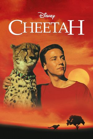 Cheetah's poster