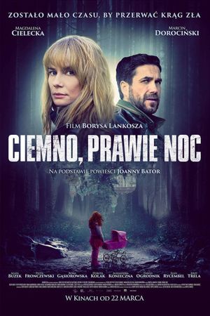 Dark, Almost Night's poster