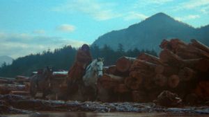 McCabe & Mrs. Miller's poster