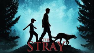 The Stray's poster