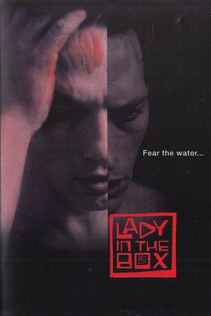 Lady in the Box's poster
