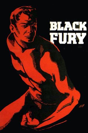 Black Fury's poster