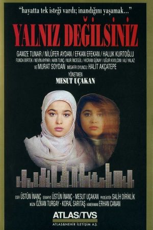Yalniz Degilsiniz's poster