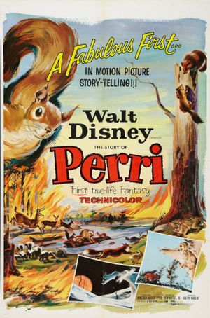 Perri's poster