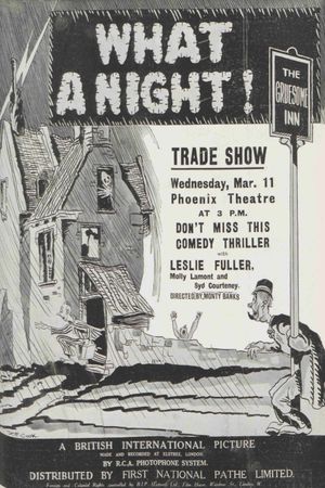 What a Night!'s poster