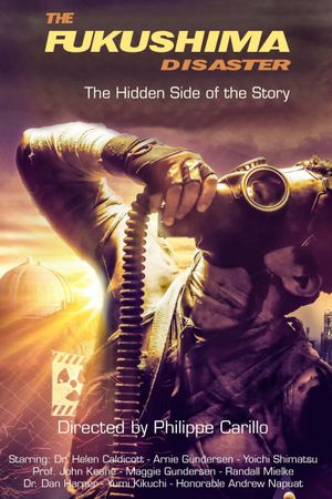 The Fukushima Disaster: The Hidden Side of The Story's poster