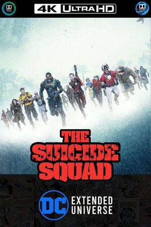 The Suicide Squad's poster