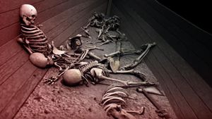 NOVA: Vikings Unearthed's poster