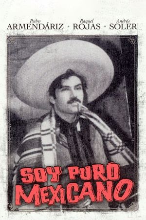 I'm a Real Mexican's poster