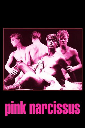 Pink Narcissus's poster