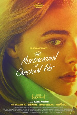 The Miseducation of Cameron Post's poster