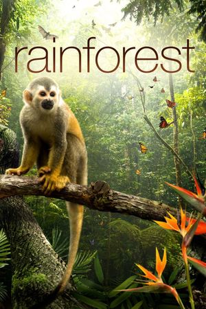The Secret Life of the Rainforest's poster