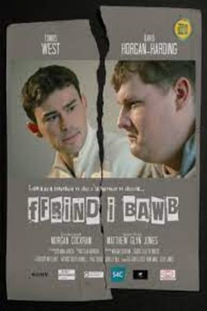 Ffrind i Bawb's poster