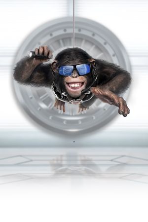 C.I.Ape's poster