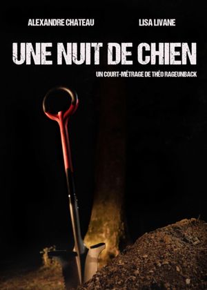 Une nuit de chien's poster