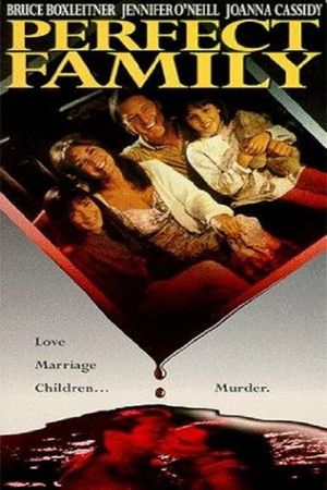 Perfect Family's poster