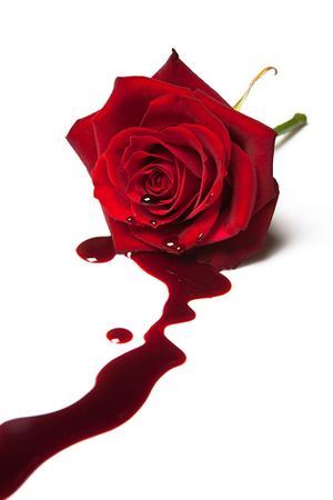 The Poison Rose's poster