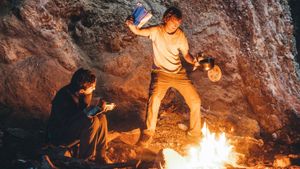 Swiss Army Man's poster