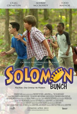 The Solomon Bunch's poster