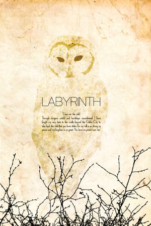 Labyrinth's poster