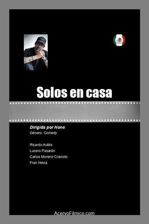 Solos en casa's poster
