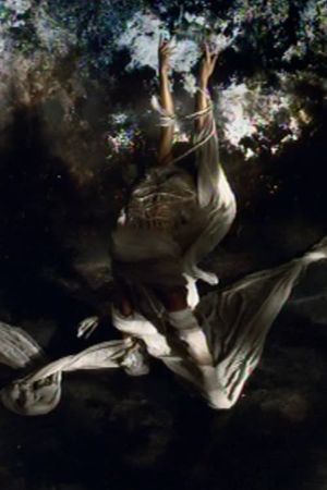 La festa delle rose's poster