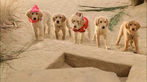 Treasure Buddies's poster