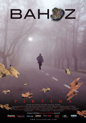 The Storm's poster