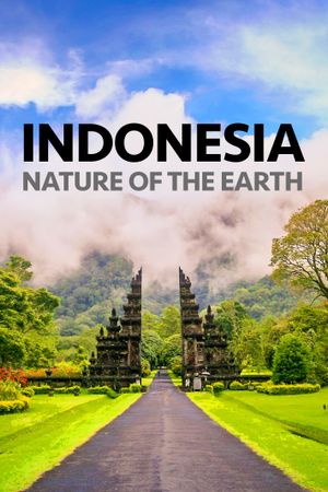 Indonesia Nature of the Earth's poster