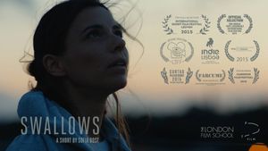 Swallows's poster