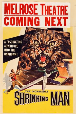 The Incredible Shrinking Man's poster