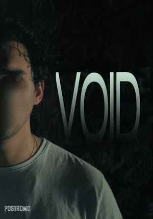 Void's poster