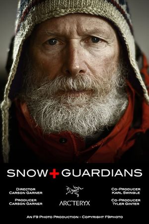 Snow Guardians's poster image